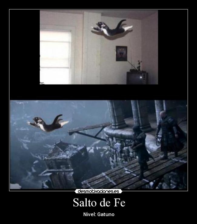 Salto de Fe - Nivel: Gatuno