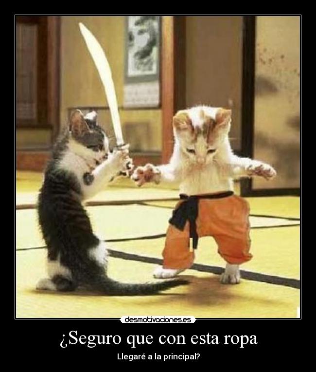 ¿Seguro que con esta ropa - Llegaré a la principal?