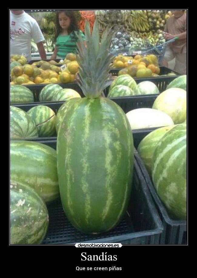 Sandías - 