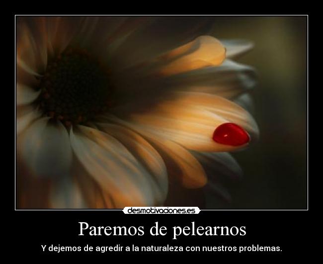 Paremos de pelearnos -