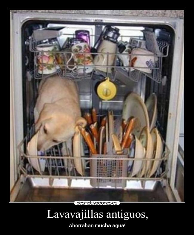 carteles sanny desmotivaciones