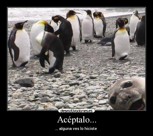 Acéptalo... -