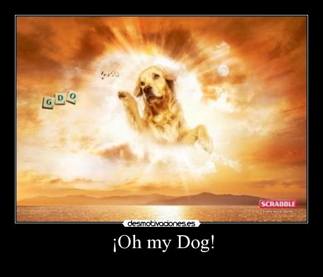 ¡Oh my Dog! -