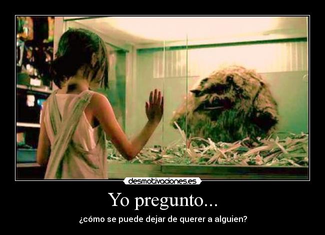 Yo pregunto... - ¿cómo se puede dejar de querer a alguien?