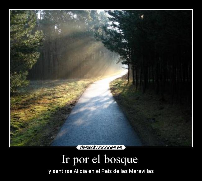 carteles por bosque desmotivaciones