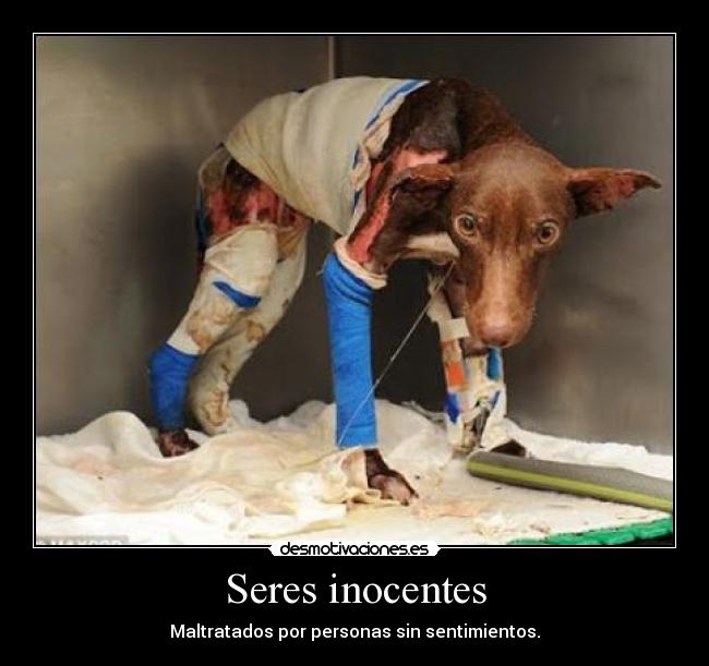 Seres inocentes - 