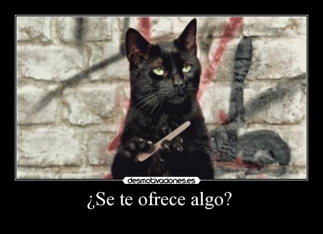 ¿Se te ofrece algo? -