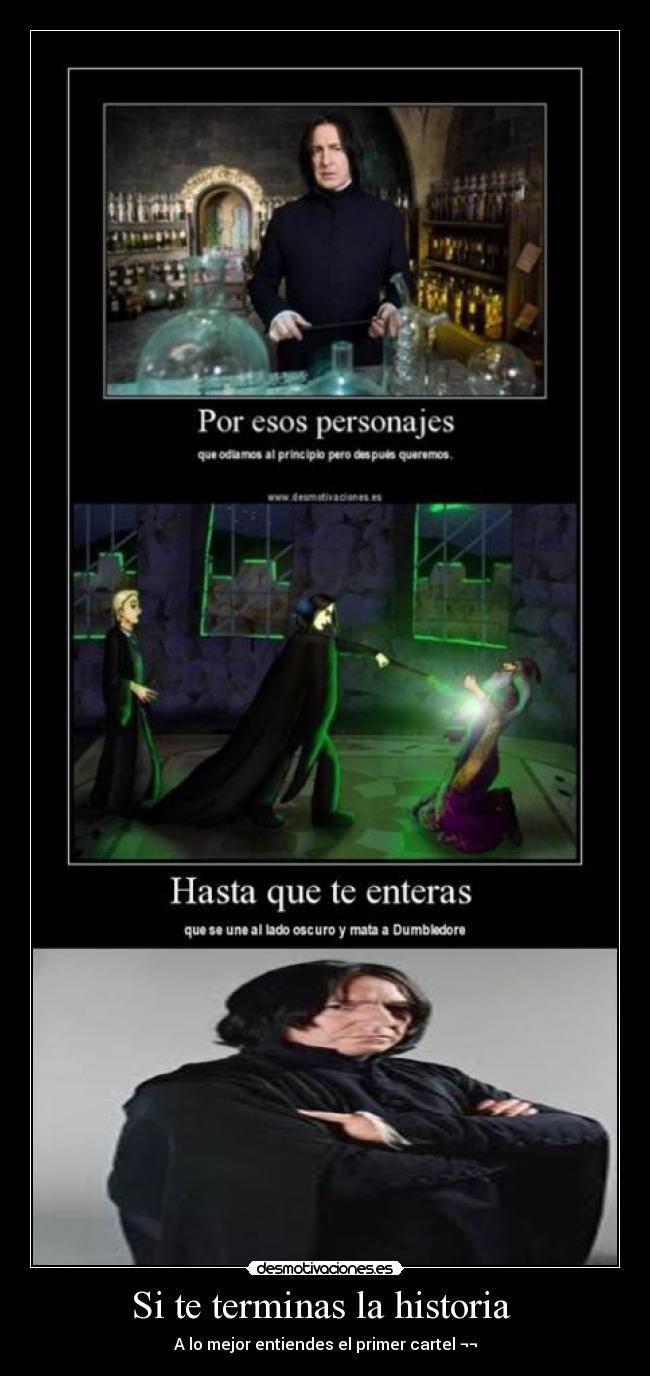 carteles historia harry potter desmotivaciones