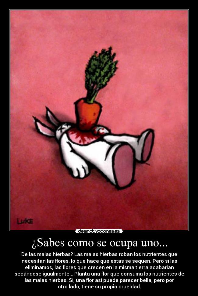 carteles mente vida reflexion desmotivacion motivacion desmotiva motiva desmotivaciones