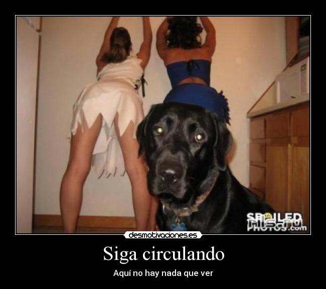 Siga circulando - Aquí no hay nada que ver