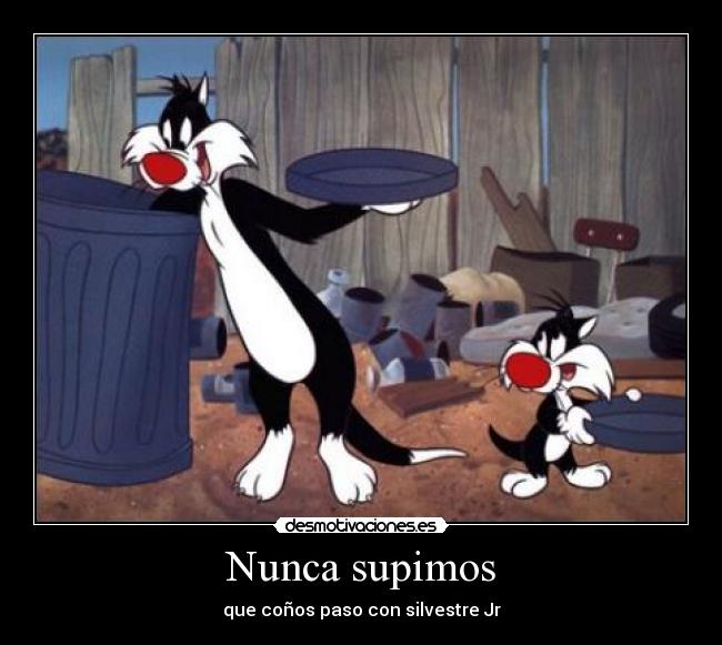 Nunca supimos - que coños paso con silvestre Jr