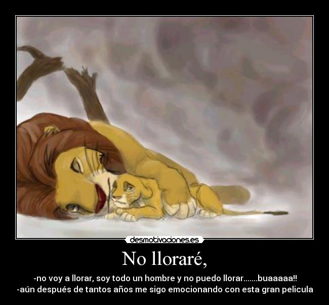 No lloraré, -
