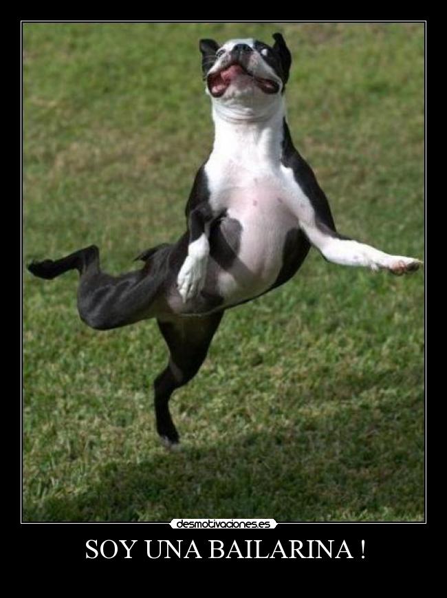 SOY UNA BAILARINA ! -