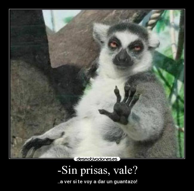 carteles animal mono monito cabron cabron cara malo borde prisas guantazo para ver soltar desmotivaciones