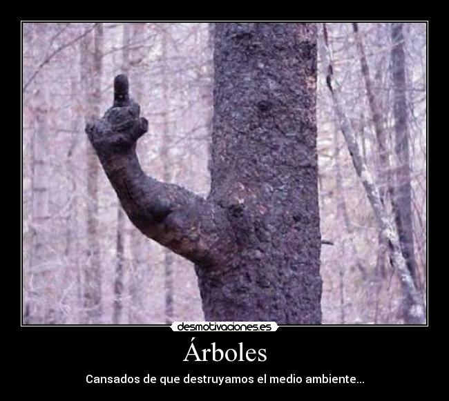 Árboles - 