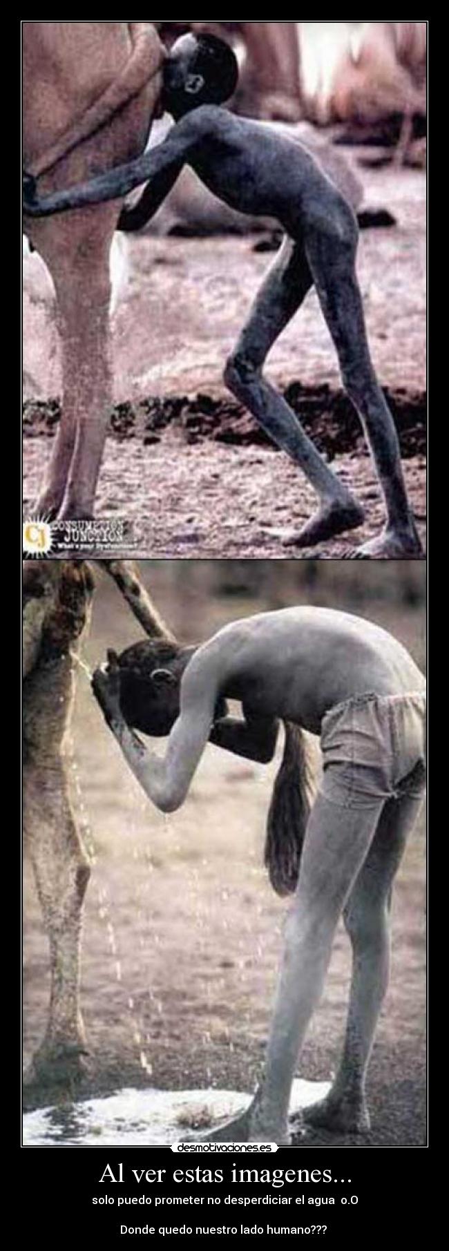 Al ver estas imagenes... - 