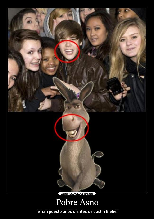 Pobre Asno - 
