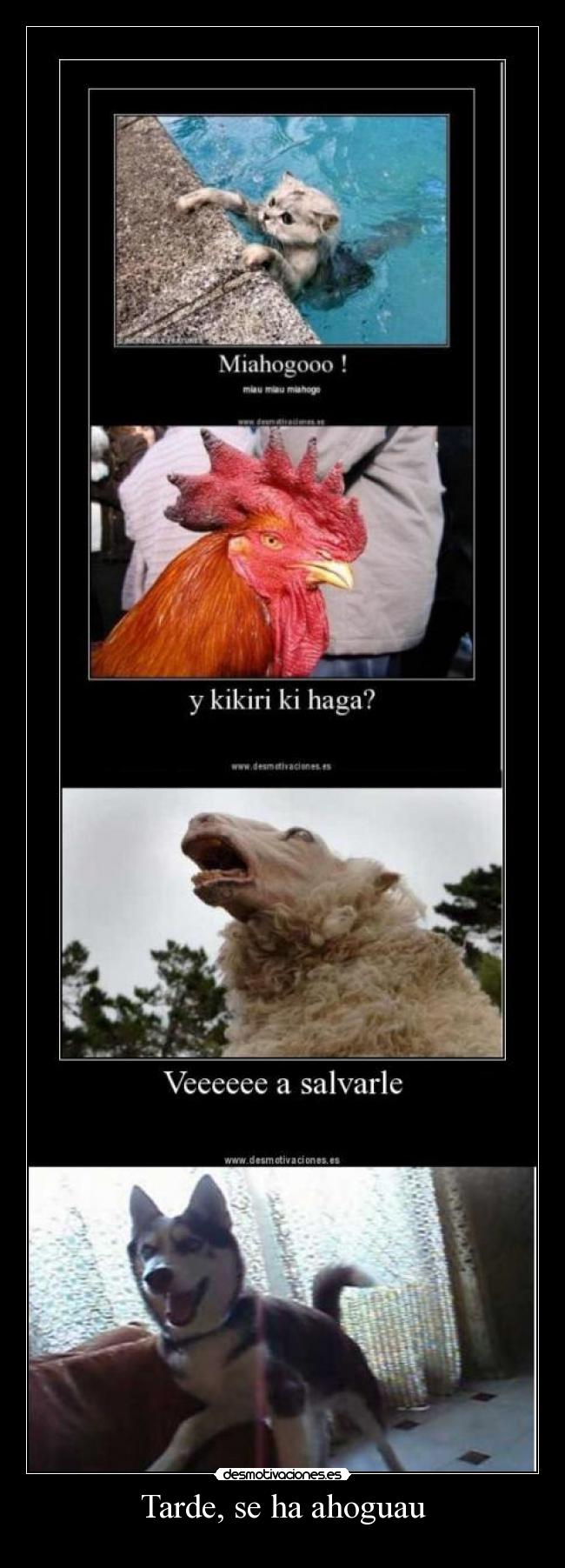 Tarde, se ha ahoguau -