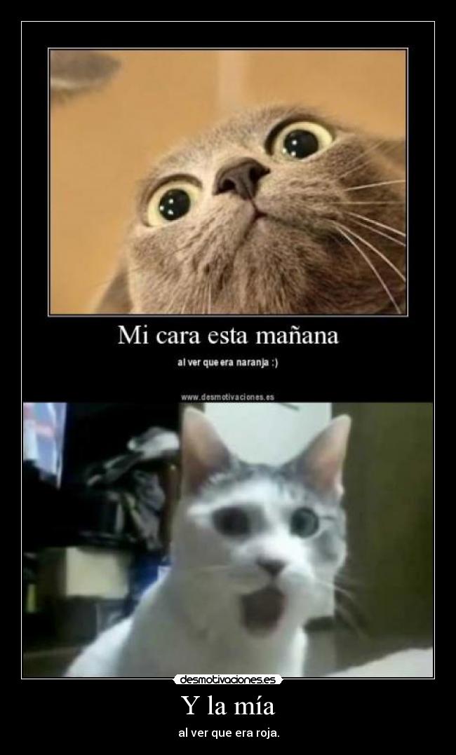 Y la mía - al ver que era roja.