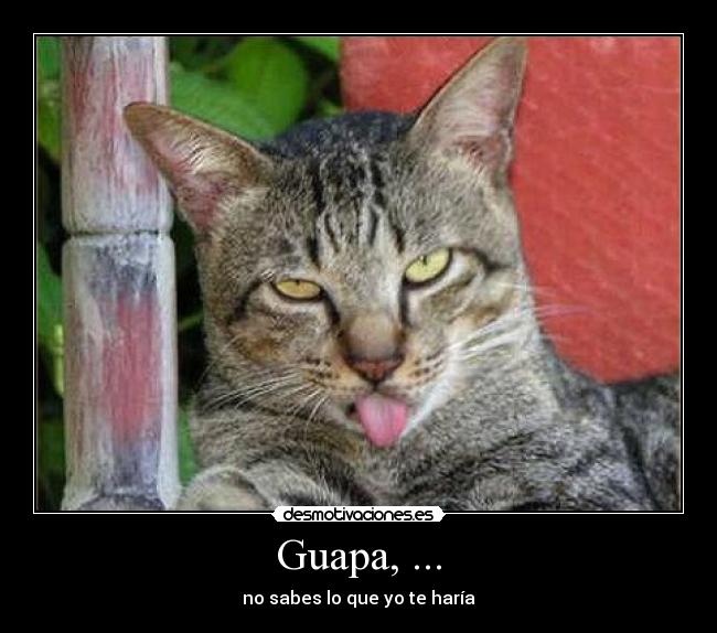 Guapa, ... - no sabes lo que yo te haría