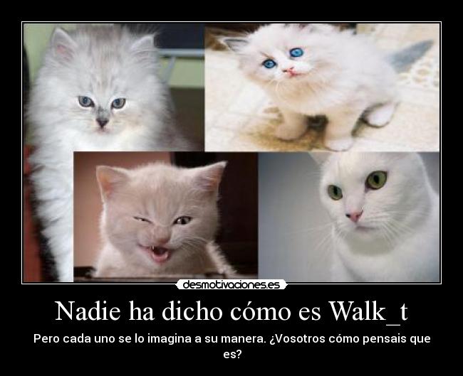 carteles walk_t desmotivaciones