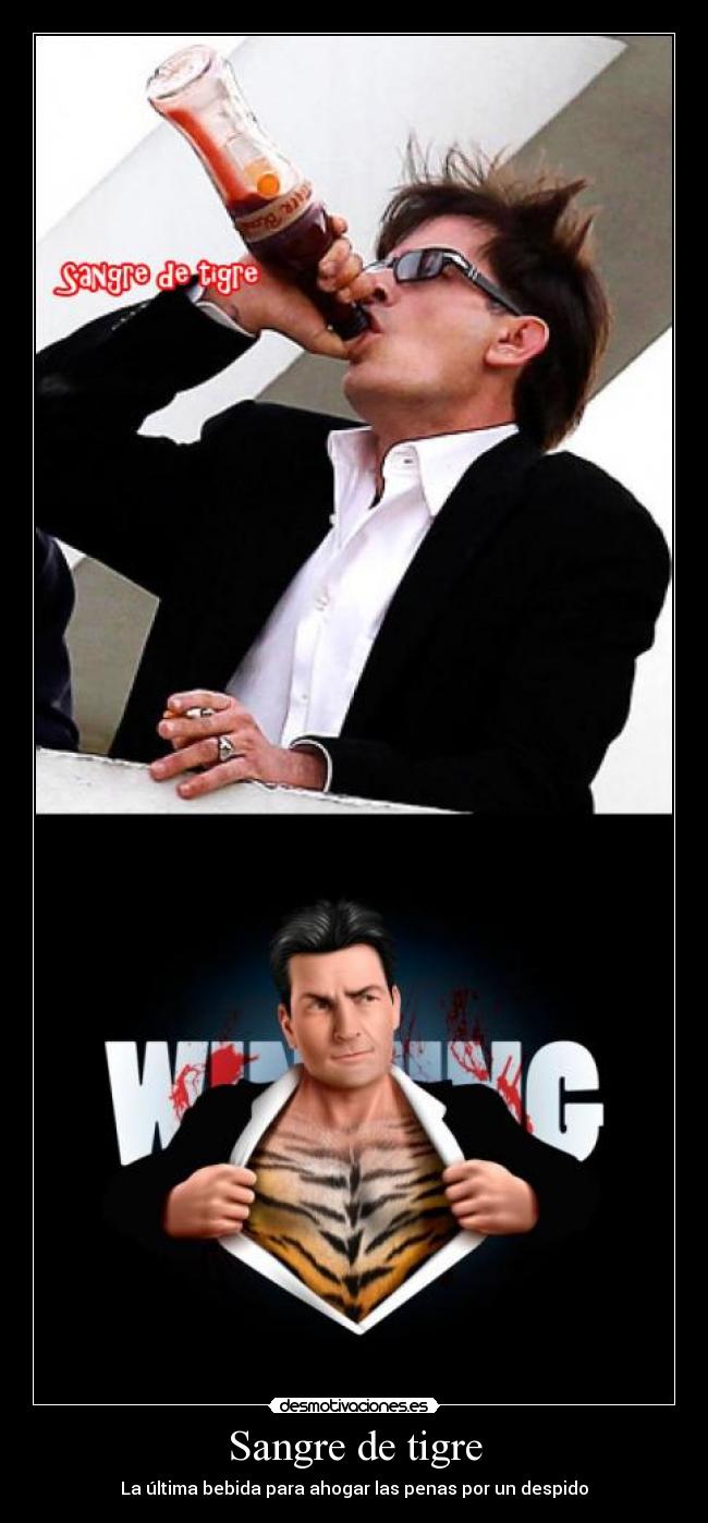 Sangre de tigre - La última bebida para ahogar las penas por un despido