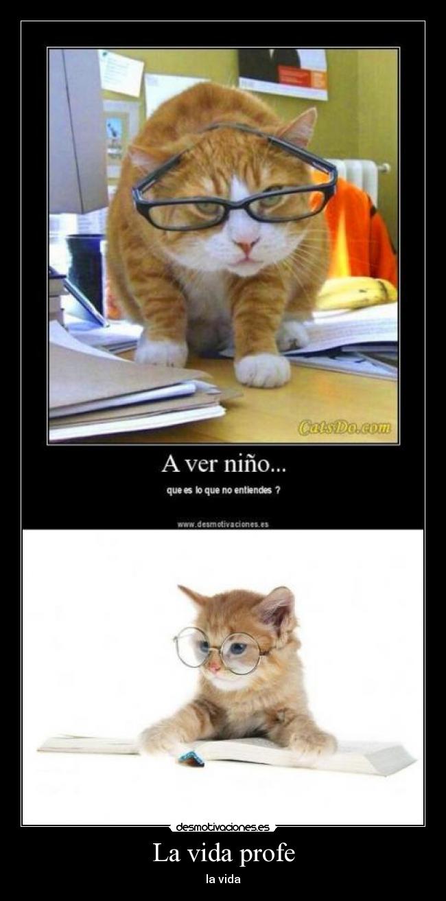 La vida profe -