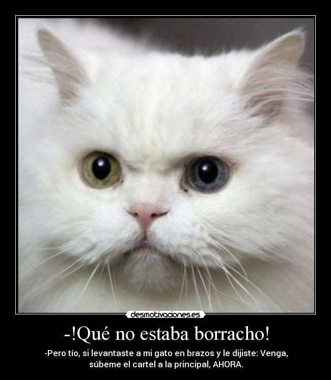 -!Qué no estaba borracho! - -Pero tío, si levantaste a mi gato en brazos y le dijiste: Venga,
súbeme el cartel a la principal, AHORA.