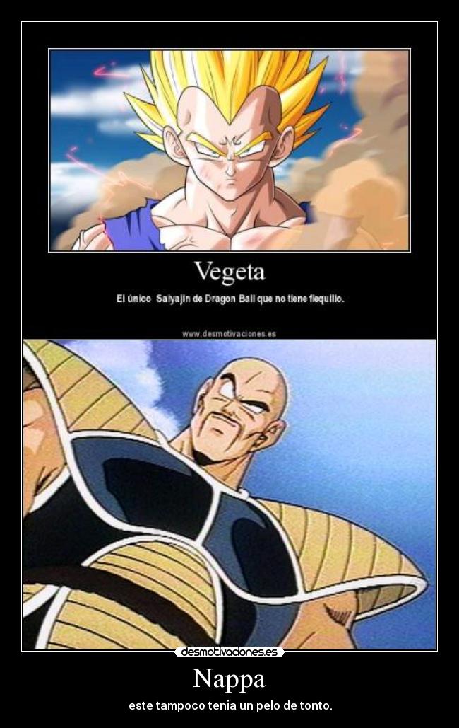 Nappa -