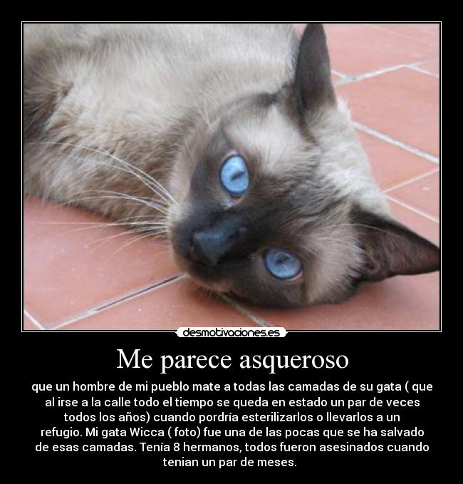 Me parece asqueroso - 