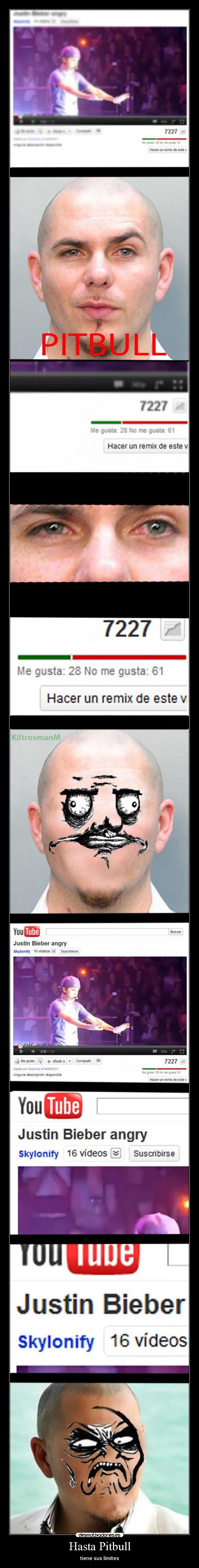 carteles pitbull remix justin bieber gusta infinito desprecio hasta pitbull tiene sus limites desmotivaciones
