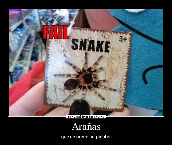Arañas - 