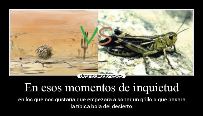 En esos momentos de inquietud - en los que nos gustaría que empezara a sonar un grillo o que pasara
la típica bola del desierto.