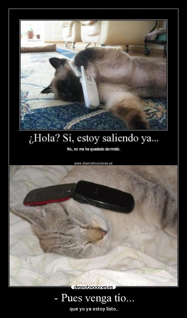 - Pues venga tío... - 