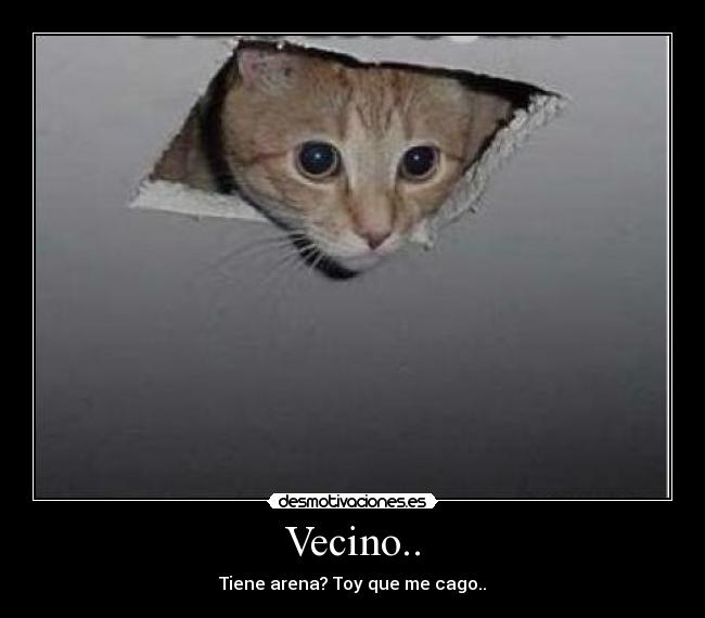 Vecino.. -