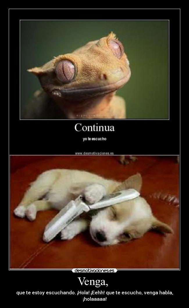 Venga, - que te estoy escuchando. ¡Hola! ¡Eehh! que te escucho, venga habla, ¡holaaaaa!