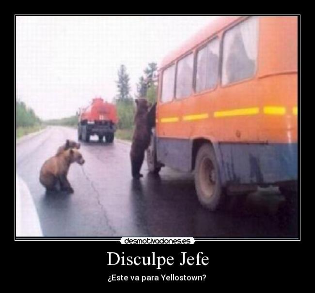 Disculpe Jefe -