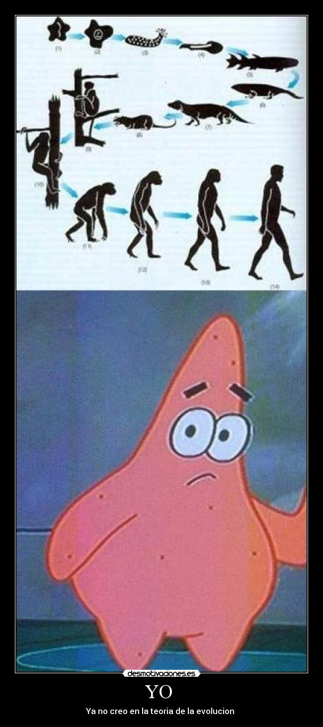 carteles evolucion darwin desmotivaciones