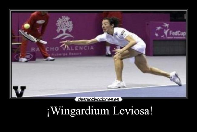 ¡Wingardium Leviosa! - 