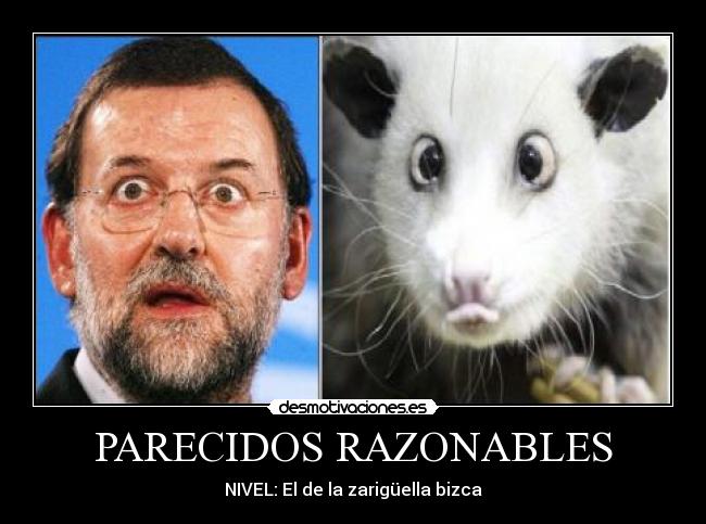 PARECIDOS RAZONABLES - NIVEL: El de la zarigüella bizca