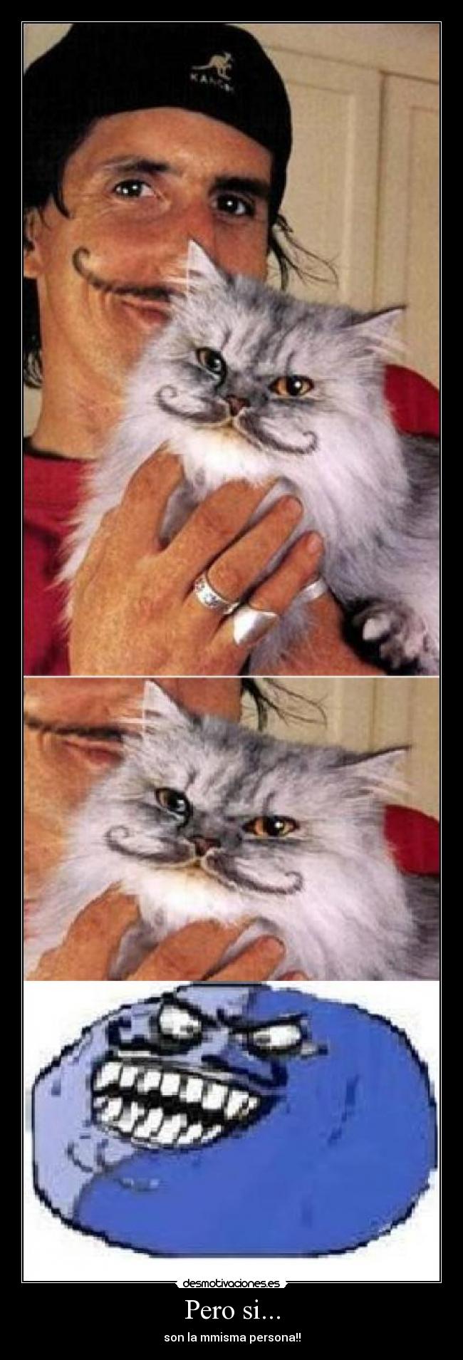 carteles alberiniesta desmotivaciones