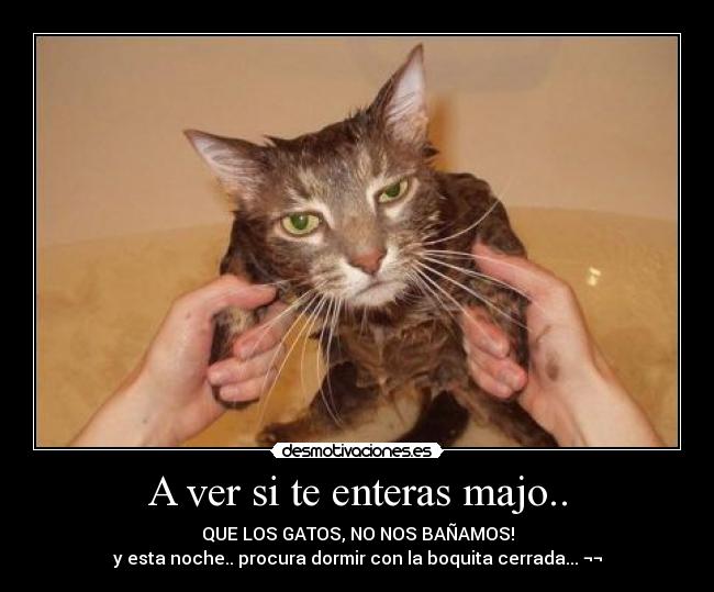 A ver si te enteras majo.. -