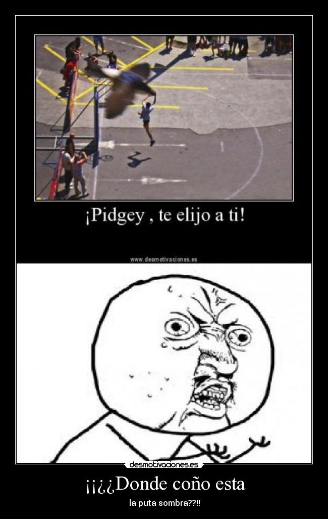 ¡¡¿¿Donde coño esta - la puta sombra??!!