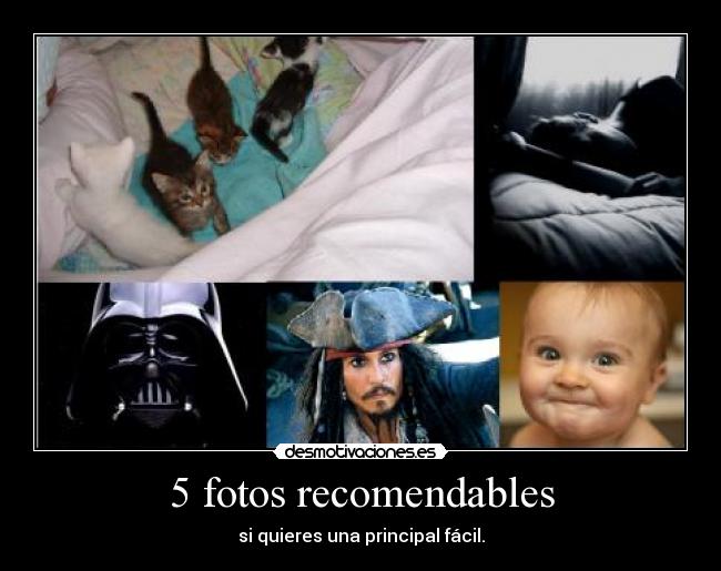 5 fotos recomendables -
