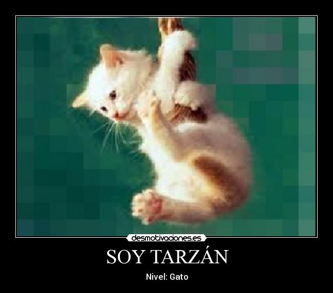 SOY TARZÁN - Nivel: Gato