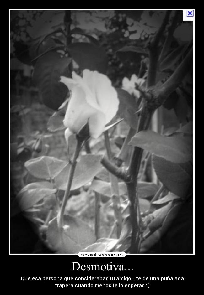 carteles queputalokura desmotivaciones