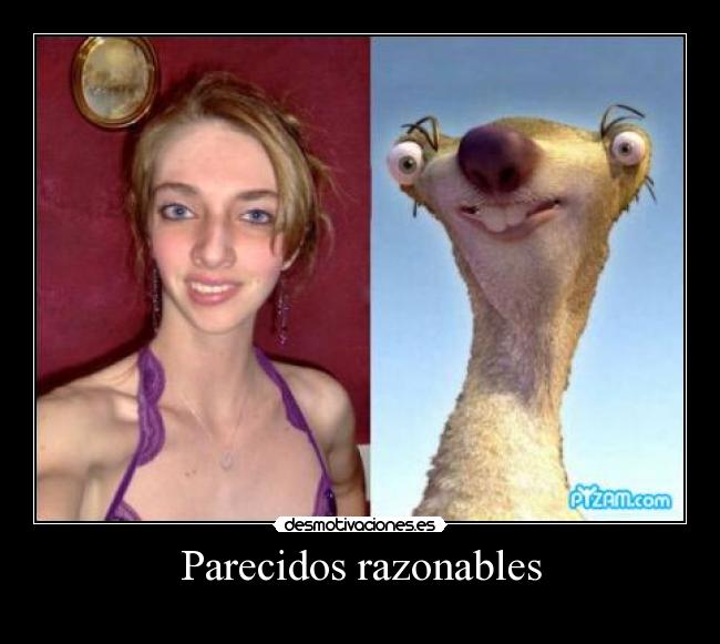 Parecidos razonables - 