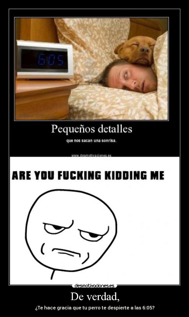 De verdad, - ¿Te hace gracia que tu perro te despierte a las 6:05?