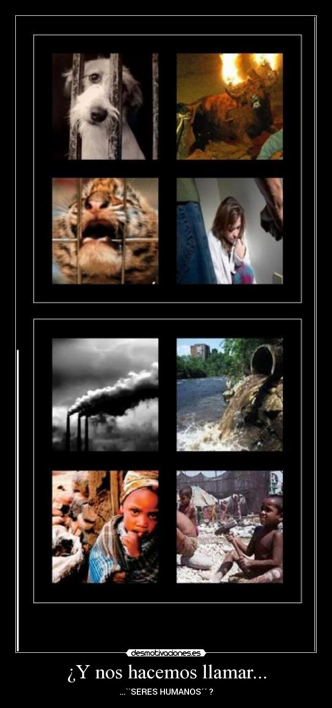 ¿Y nos hacemos llamar... - ...``SERES HUMANOS´´ ?