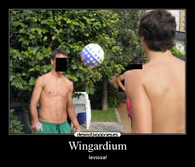 Wingardium - 